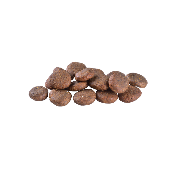 Сухой корм Brit Care Dog Grain-free Senior & Light для стареющих собак, беззерновой с лососем, 1 кг 1111173385 фото
