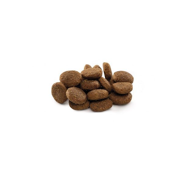 Корм сухой Brit Premium Dog Junior XL для щенков и молодых собак гигантских пород с курицей 3 кг 1111150968 фото