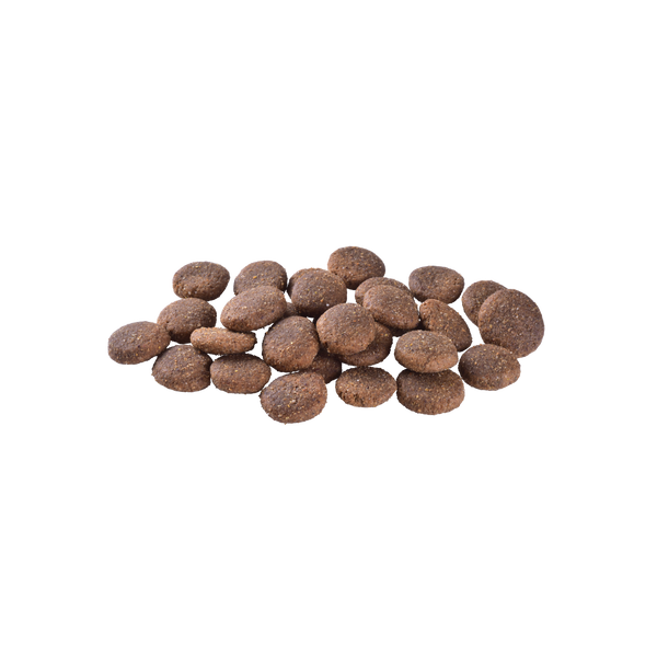 Корм сухой Brit Care Dog Grain-free Adult Large Breed для взрослых собак крупных пород беззерновой с лососем 3 кг 1111173383 фото