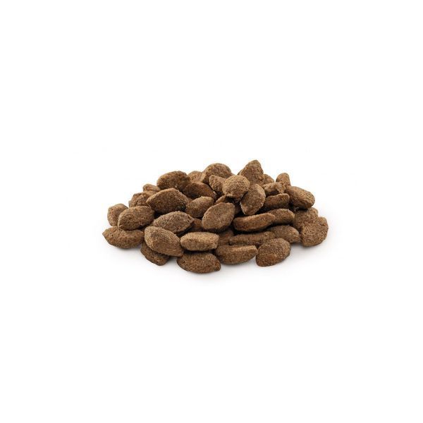 Корм сухой Brit Premium Dog Light для собак с избыточным весом с индейкой 3 кг 1111150974 фото
