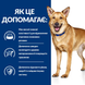 Вологий корм Hill's PD i/d Digestive Care при захворюванні шлунково-кишкового тракту собак з індичкою 360 г 607215 фото 2
