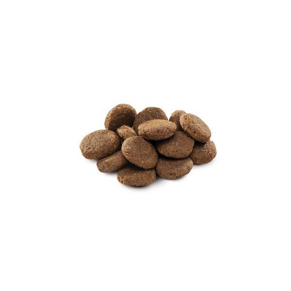 Корм сухой Brit Premium Dog Senior L+XL для пожилых собак больших и гигантских пород весом 25-90 кг с курицей 3 кг 1111150966 фото
