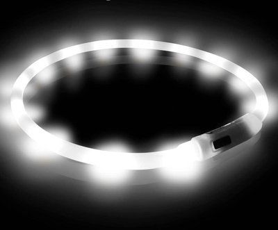 LED нашийник для собак з підсвіткою із зарядкою USB 35 см Білий ST00441 фото