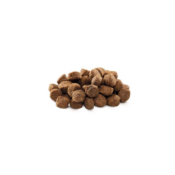Корм сухий Brit Premium Dog Senior S+M для собак дрібних та середніх порід похилого віку вагою 1-25 кг з куркою 3 кг 1111150958 фото