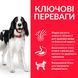 Сухий корм Hill&rsquo;s SP Adult Medium Breed для дорослих собак середніх порід з куркою 2,5 кг 604274 фото 2
