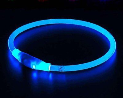 Нашийник для собак з підсвіткою LED водостійкий, з зарядкою USB універсальний Синій ST0043 фото
