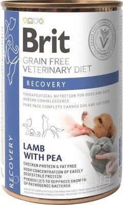 Влажный корм Brit GF VetDiets Recovery для собак и кошек, в период выздоровления, с лососем, 400 г 1111168649 фото