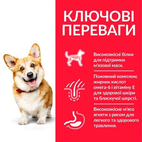 Сухий корм Hill&rsquo;s SP Adult Small & Mini для дорослих собак малих порід з ягням і рисом 0,3 кг 604234 фото