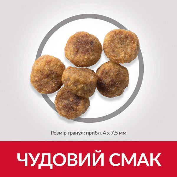 Сухий корм Hill&rsquo;s SP Adult Small & Mini для дорослих собак малих порід з ягням і рисом 0,3 кг 604234 фото