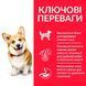 Сухий корм Hill&rsquo;s SP Adult Small & Mini для дорослих собак малих порід з ягням і рисом 0,3 кг 604234 фото 2