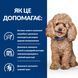 Сухой корм Hill's PD Gastrointestinal Biome Mini для собак при заболеваниях желудочно-кишечного тракта с курицей 1 кг 606424 фото 4
