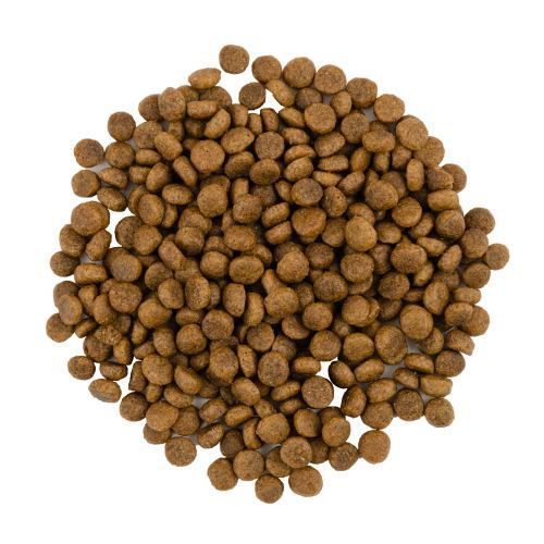 Сухой корм Savory для кошек гурманов, со свежей индейкой и уткой, 400 г 1111162997 фото