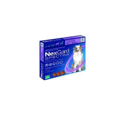 NexGard Spectra Таблетки от блох и клещей для собак весом от 15 до 30 кг 1 шт 1438155195 фото