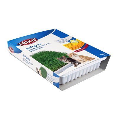 Трава Trixie Soft Grass для кошек и котят, контейнер, 100 г 1111117393 фото