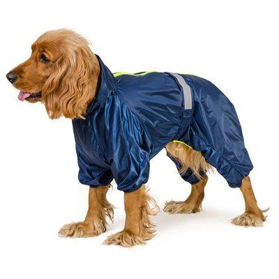 Дождевик Pet Fashion Rain для собак, размер 2XL, синий 1111159502 фото