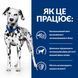 Сухий корм Hill's PD u/d Urinary Care для догляду за сечовидільною системою собак 4 кг 606270 фото 3