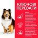 Сухий корм Hill&rsquo;s SP Adult Sensitive Stomach & Skin Medium Breed для собак середніх порід з куркою 2,5 кг 604300 фото 2
