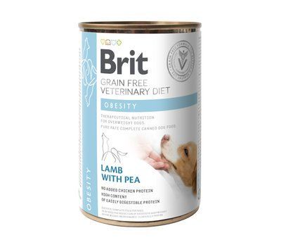 Влажный корм Brit GF VetDiet Obesity для собак, при ожирении и избыточном весе, ягненок и горошек, 400 г 1111166671 фото