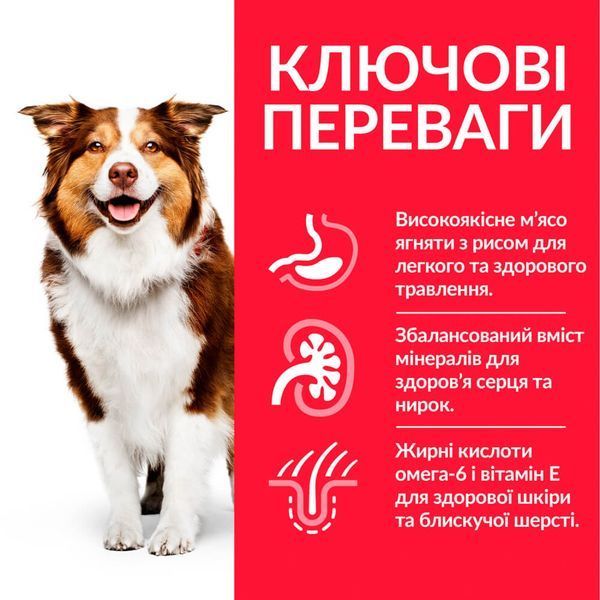 Сухий корм Hill&rsquo;s SP Mature Adult 7+ Medium Breed для собак середніх порід від 7 років з ягням і рисом 2,5 кг 604287 фото
