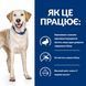 Сухий корм Hill&rsquo;s PD d/d Food Sensitivities для собак при харчовій алергії з качкою та рисом 1,5 кг 605839 фото 3