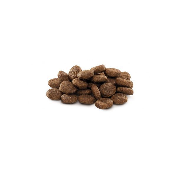 Корм сухий Brit Premium Dog Junior L для цуценят та молодих собак великих порід 3 кг 1111150961 фото