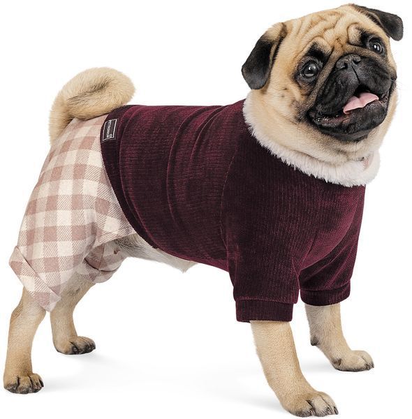 Костюм Pet Fashion Spell для собак, размер S, бордовый 1111164689 фото