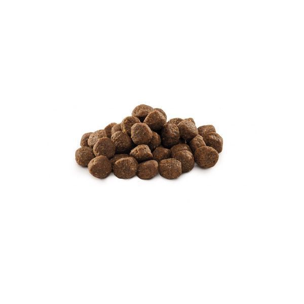 Корм сухий Brit Premium Dog Junior M для цуценят та молодих собак середніх порід з куркою, 1 кг 1111150950 фото